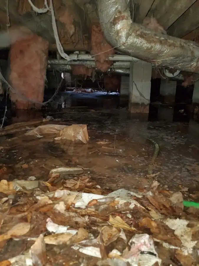 Crawl space flood assessment for Commercial Water Damage Restoration in Altadena